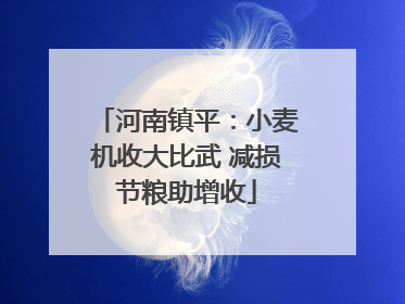 河南镇平：小麦机收大比武 减损节粮助增收